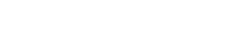Carpet Cleaner Demo