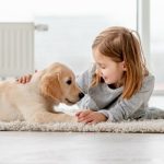 The Role of Diet and Nutrition in Your Dog’s Overall Health