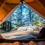 Best Camping Tips for a Worry-Free Camping Trip